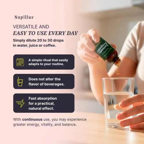 Vista 4 de Extracto de propóleo verde - Gotas de apoyo inmunológico 100% naturales - Origen brasileño - 1 fl oz