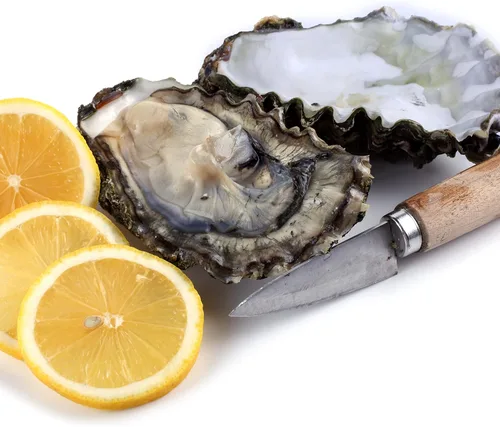 Vista 3 de Cuchillo de barro de ostras, herramienta de grado comercial para almejas y mariscos con agarre ergonómico y mango de madera, bueno para el hogar
