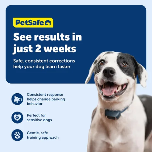 Vista 4 de Collar antiladridos recargable PetSafe Lite 15 Static Levels, Bark-Sensing Tech Avoids False Corrections, Waterproof, Up To 40 Hr Battery, Dogs 8