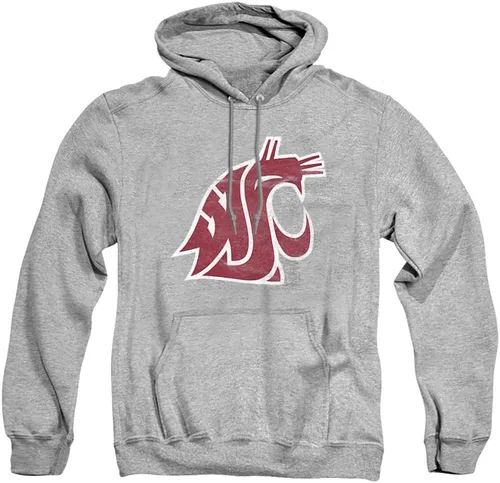 Vista 119 de Distressed College Primary Logo Adult Pullover Hoodie Collection 1 Universidad Estatal de Albany