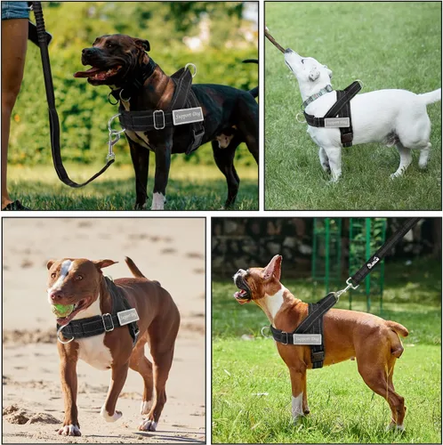 Vista 7 de Lukovee Juego de arnés y correa para perro sin tirones, chaleco acolchado suave ajustable con clip frontal para un fácil control, arnés reflectante