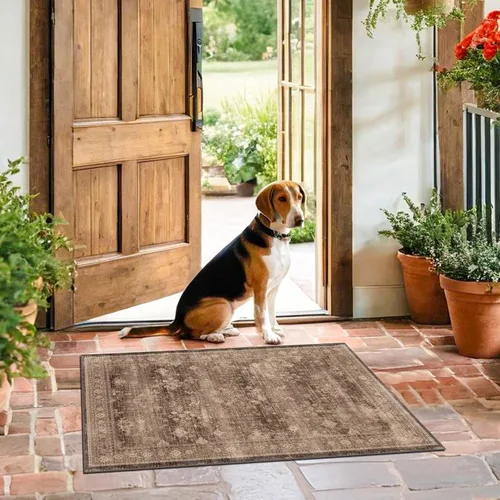 Vista 155 de Hazo Haus – Alfombra pequeña para entrada, cocina o baño, antideslizante con base de goma, resistente a las manchas y a la decoloración, diseño