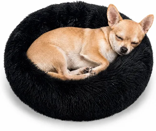 Vista 27 de Cama pequeña para perros extra pequeños para caniche de juguete Chihuahua Pomerania
