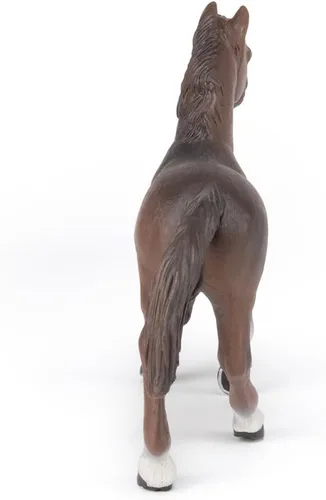 Vista 7 de Papo - Figura realista de yegua anglo-árabe - A partir de 3 años - Colección de caballos - Mundo ecuestre creativo - Juguete de idea de regalo