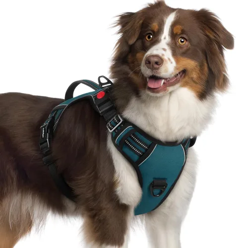 Vista 23 de rabbitgoo Arnés para perro de tamaño pequeño, arnés para mascotas sin tirones con mango acolchado suave, chaleco reflectante ajustable con 3