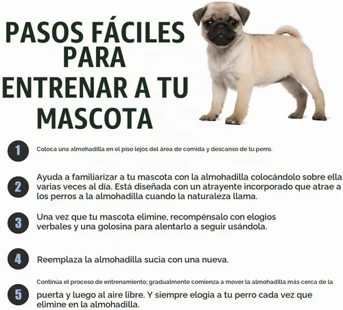 Vista 6 de BV Almohadillas de entrenamiento para orinal para perros, almohadillas para cachorros, almohadillas para orina, absorción rápida, almohadilla