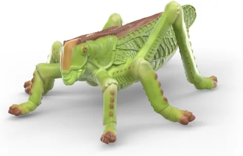 Vista 5 de Schleich Set de descubrimiento de insectos Wild Life 42741