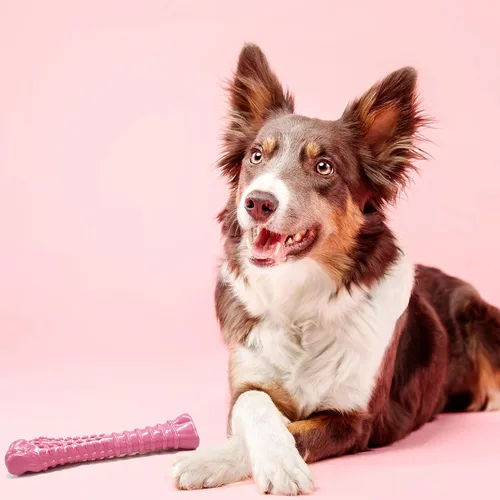 Vista 2 de Nylabone Power Chew - Juguete masticable para perros para concientización sobre el cáncer de mama, juguetes indestructibles para masticadores
