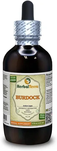 Vista 7 de Herbal Terra LLC Glicerita de bardana (Arctium Lappa), extracto líquido sin alcohol de raíz seca, 2 onzas