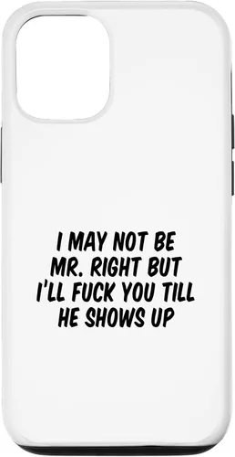 Vista 28 de I May Not Be Mr. Right But I’ll Fuck You Till He Shows Up Case for iPhone 17