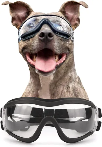 Vista 9 de Gafas de sol para perros de razas grandes, juego de 2 piezas de protección UV negra y transparente, resistente al viento para perros medianos a