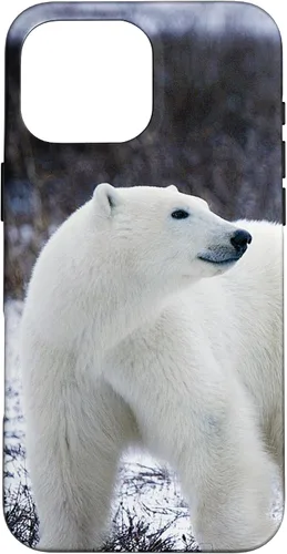 Vista 19 de Polar Bears Animal Nature Case for iPhone 17