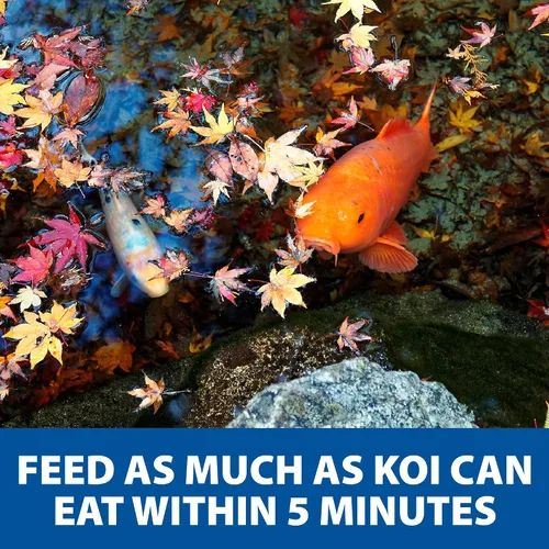 Vista 9 de The Pond Guy Spring & Fall - Alimento para peces con germen de trigo para Koi y Goldfish, pellets flotantes prémium para clima frío, fórmula