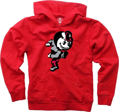 Vista 14 de Wes and Willy Sudadera con capucha de algodón orgánico con logotipo de equipo universitario