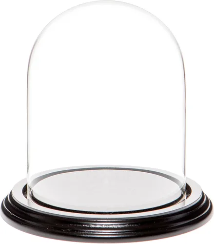Vista 10 de Plymor Cúpula de cristal de 4.5 x 6 pulgadas (base de madera MDF negra)