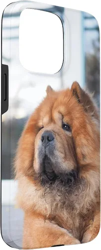 Vista 3 de Funda Chow Chow Chow para iPhone 15 Pro Max