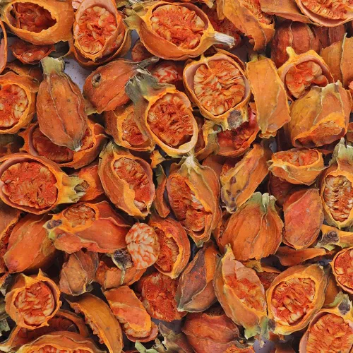 Vista 4 de Polvo de extracto de fruta de Gardenia puro orgánico natural, 1.1 libras (17.64 oz)