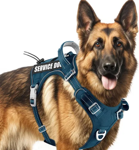 Vista 9 de BARKBAY Chaleco táctico para perro, arnés ajustable reflectante K9, de fácil control, sistema militar Molle para perro, sin tirones, color negro