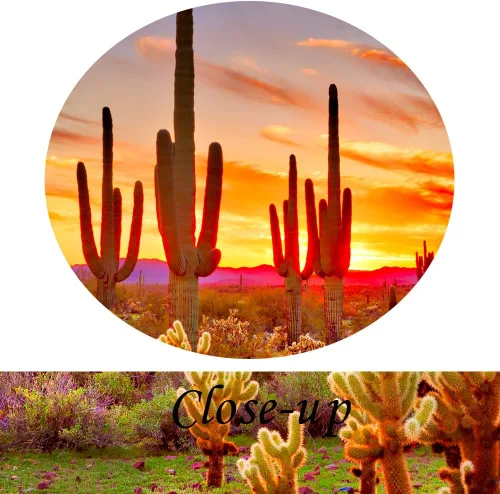 Vista 5 de KREATIVE ARTS - Pinturas de paisajes naturales, arte de pared, puesta de sol con saguaros en el desierto de Sonora, 5 piezas impresas en lienzo