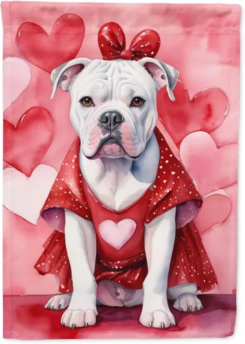 Vista 127 de Caroline's Treasures DAC5252GF Affenpinscher - Bandera de jardín con texto en inglés "My Valentine", bandera decorativa para patio exterior, patio