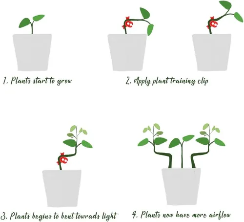 Vista 7 de LucyPhy Paquete de 30 dobladores de plantas con ángulos ajustables, clips de entrenamiento de plantas para entrenamiento de bajo estrés, 90 grados
