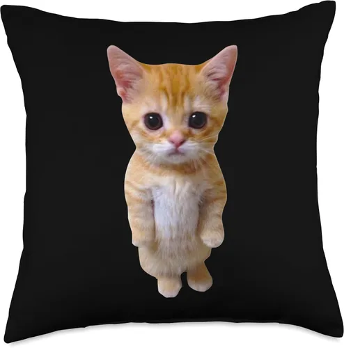 Vista 5 de El Gato Meme Sad Crying Cat Munchkin Kitty Meme Almohada moderna, 16 x 16 pulgadas, multicolor
