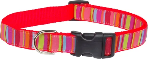 Vista 5 de Collar de perro con estampado a rayas Morado/Multi 10-14 pulgadas, pequeño Púrpura/Multi