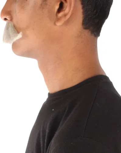 Vista 4 de Watson - Bigote de pelo humano falso para hombre adulto