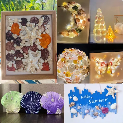 Vista 7 de JSPYFITS Estrellas de mar grandes de 2.5 a 4 pulgadas y conchas de vieira para manualidades, 12 unidades, conchas naturales de mar de playa