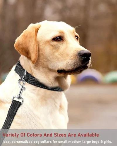 Vista 7 de Collar reflectante para perros con hebilla, collares de nailon ajustables de seguridad para perros pequeños, medianos y grandes, color negro XXS