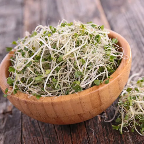 Vista 4 de Handy Pantry Surtidos de semillas orgánicas para germinar – Microgreens, paquete variado de semillas de brotes (paquete de 12 – premedidas)