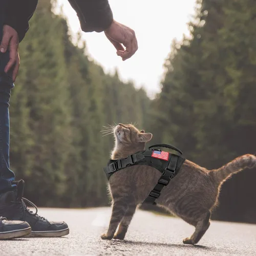 Vista 4 de Arnés táctico para perro, chaleco de entrenamiento al aire libre, chaleco militar K9 de patrulla para perro, arnés táctico ajustable para cachorros