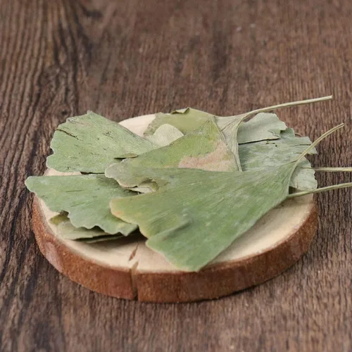 Vista 6 de Hojas secas de Ginkgo Biloba Ginkgo Biloba Hojas sueltas secas - Gingko Maidenhair Tree Yinxingye (8.82 oz)