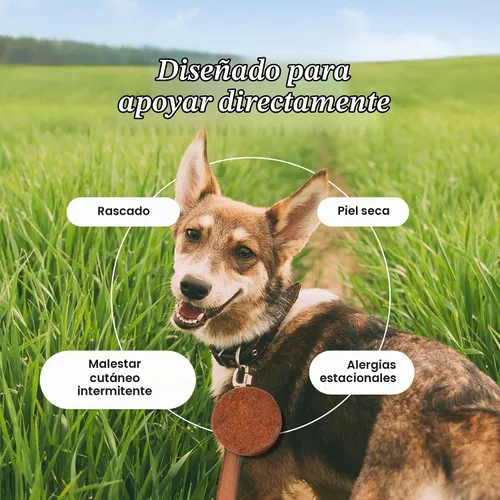 Vista 3 de PetLab Co. Itch Relief Chew Pro, 30 masticables suaves, paquete de 2, cerdo