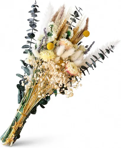 Vista 9 de LUXEEASE 11 tipos de mini ramo de flores secas mixtas con tallos, 176 Neutrales Naturales