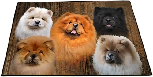 Vista 26 de Doggie of the Day Chow Chow Dogs Floor Mat - 4th of July Independence Day - Best Dog Doormat - Protector Decor - Unique Portrait Art - Premium