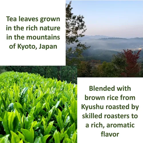 Vista 3 de SONO Genmaicha orgánico con matcha, mezcla de té verde sencha, arroz tostado y Uji Matcha Kyoto Origen Japón 3.52oz/100g