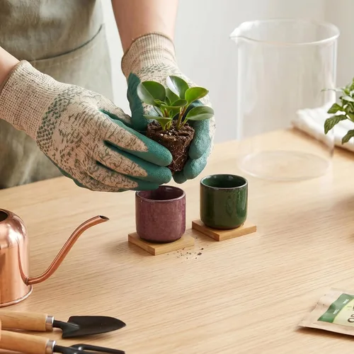 Vista 5 de Lawei Paquete de 8 mini macetas suculentas de 2.5 pulgadas con drenaje y bandeja de bambú, maceta pequeña de cerámica para cactus, macetas de flores