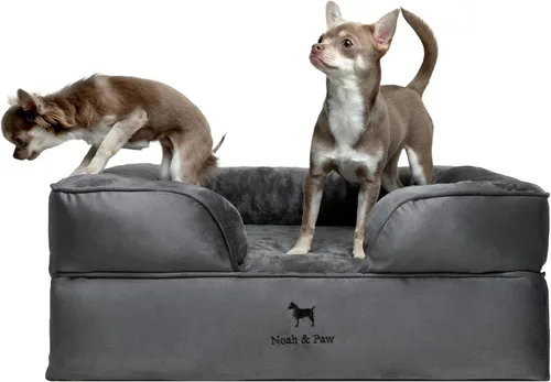 Vista 36 de NOAH & PAW Cama para perros pequeños, 20 x 15 x 8 pulgadas, cama para gatos de interior, espuma viscoelástica ortopédica de cáscara de huevo