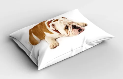 Vista 2 de Ambesonne Funda de almohada de bulldog inglés, Bulldog triste y cansado, fotografía de animales de raza pura europea, funda de almohada decorativa