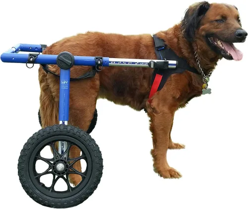 Vista 10 de Walkin' Wheels Silla de ruedas para perros, para perros grandes, de 70 a 180 libras, aprobada por veterinarios, silla de ruedas para perros