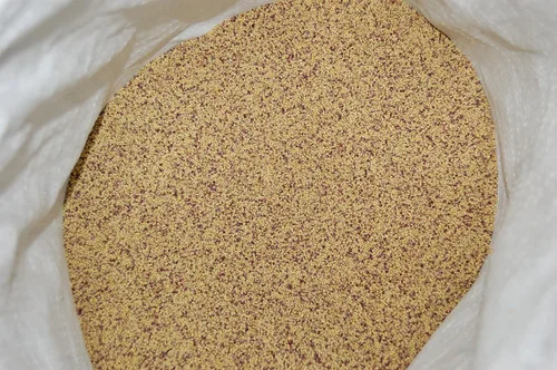 Vista 5 de Semillas de trébol rojo (5 libras) – Elige el tamaño. Semillas prémium de Willamette Valley, cultivadas en Oregon, sin rellenos, sin recubrimientos