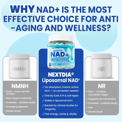 Vista 7 de Suplemento liposomal Nad+ para mujeres y hombres - Gomitas Nad de absorción máxima más resveratrol, fisetina, quercetina, TMG, cafeína, B12