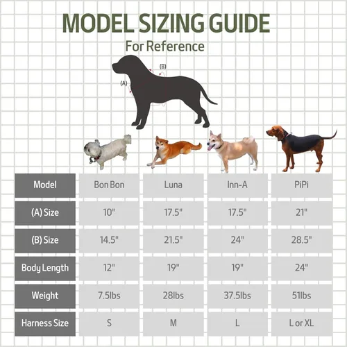 Vista 4 de Casual H - Arnés para perro, arnés sin tirones para mascota, con 2 clips para correa, chaleco acolchado suave ajustable para perros pequeños