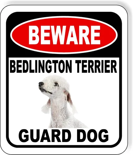 Vista 58 de BEWARE BASSETT HOUND GUARD DOG - Letrero compuesto de aluminio para exteriores, 8.5 x 10 pulgadas CUIDADO BASSETT HOUND GUARD PERRO