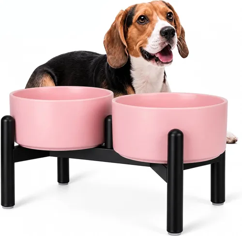 Vista 12 de Juego de cuencos elevados de cerámica para perros con soporte, 2 tazas de Negro