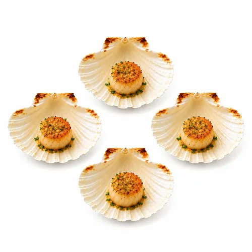 Vista 12 de Maine Man Conchas naturales para hornear, cosechadas de Irlanda y Escocia, para hornear, mariscos, aperitivos y postres, 4 pulgadas, juego de 4