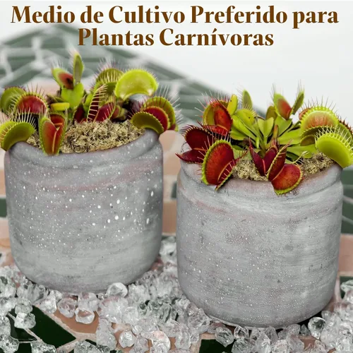 Vista 7 de Halatool Musgo de esfagnum de 3.6 onzas para plantas, musgo de orquídea