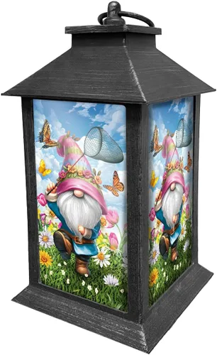 Vista 8 de Briarwood Lane con God Lantern LT01969