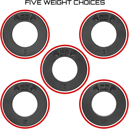 Vista 4 de Micro Gainz - Juego de discos de peso olímpicos fraccionales, juego de 10 discos olímpicos con bolsa, diseñado para pesas olímpicas